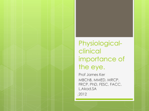 Physiological-clinical importance of the eye.