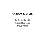 CARDIAC MUSCLE