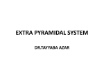 extra pyramidal system