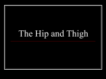 The Hip and the Thigh