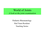 World of Joints: A Look at the Joint Examination