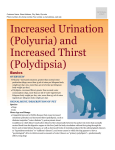 increased_urination_and_increased_thirst