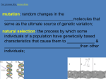 mutation: random changes in the that serve as the ultimate source of