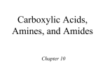 Carboxylic Acids, Amines, and Amides