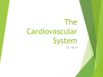 The Cardiovascular System