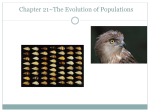 Chapter 21~The Evolution of Populations