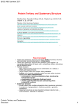 Protein Tertiary and Quaternary Structure