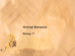 History of Animal Behavior