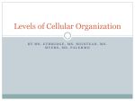 Levels of Cellular Organization