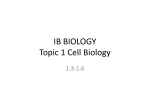IB BIOLOGY Topic 1 Cell Biology