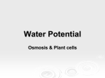 Water Potential - Phillips Scientific Methods