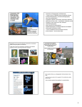 Geography 1010 Biogeography: the study of the distribution and