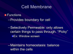 The Cell Theory and Membrane Transport