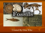 Fossils_PowerPoint
