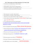 Unit 3: Photosynthesis and Cellular Respiration (Ch 9) Study Guide