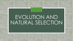 Evolution and Natural Selection PowerPoint