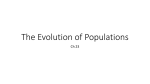 Ch 23 Evolution of Populations