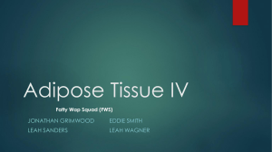 Adipose Tissue - Illinois State University