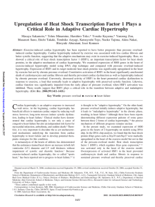 Upregulation of Heat Shock Transcription Factor 1 Plays a Critical