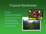 Tropical Rainforests - THE GEOGRAPHER ONLINE