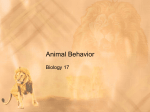 Animal Behavior