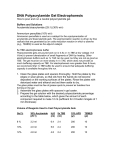 DNA Polyacrylamide Gel Electrophoresis