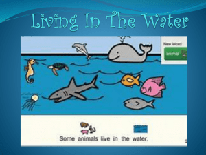 Living In Water