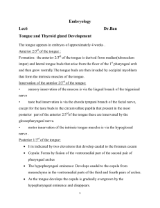 Embryology Lec6 Dr.Ban Tongue and Thyroid gland Development