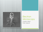 Electron Microscopy