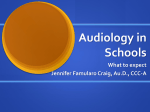 Audiology in Schools