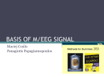 BASIS OF M/EEG SIGNAL