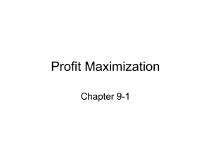 Profit Maximization