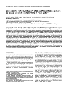 Endoplasmic Reticulum Export Sites and Golgi Bodies Behave as