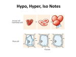 Hypo, Hyper, Iso notes