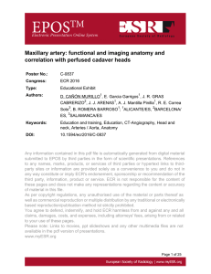 Maxillary artery: functional and imaging anatomy and correlation