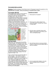 Crusades Activity