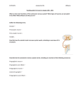 D170 W15 Autonomic NS Williams Reading guide for lesson 12