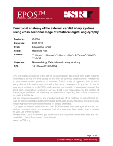 Functional anatomy of the external carotid artery systems using