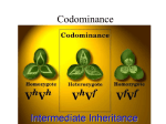 Codominance