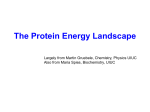 Lecture 8 (9/18/14) Protein Folding