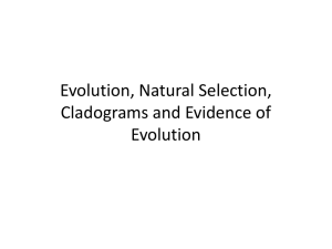 Reading: Charles Darwin and the Process of Natural Selection