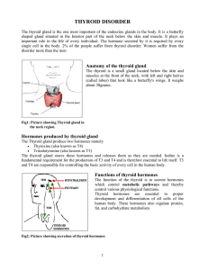 The thyroid gland is the most important of the endocrine glands in