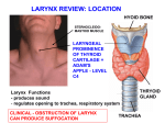 Larynx_mini_review_2012f