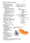 Metabolic pathways are