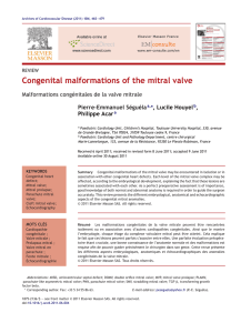 Congenital malformations of the mitral valve
