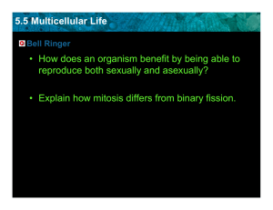 5.5 Multicellular Life • How does an organism benefit by being able