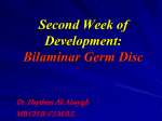 Second Week of evelopment: Bilaminar Germ Disc