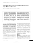 Compatibility of plasmids expressing different antigens in a single