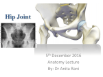 Hip Joint [PPT]