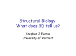 Protein structure visualization and analysis